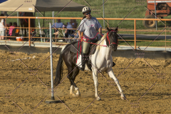 PCSChorseshow62114_IMG_2962