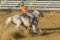 PCSChorseshow62114_IMG_2966