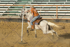 PCSChorseshow62114_IMG_2976