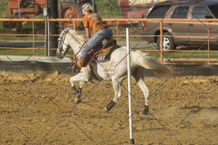 PCSChorseshow62114_IMG_2978