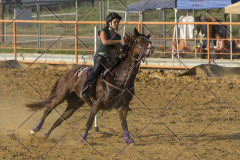 PCSChorseshow62114_IMG_2986