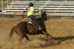 PCSChorseshow62114_IMG_3022