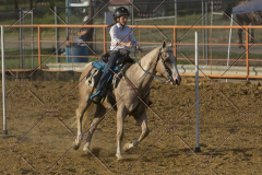 PCSChorseshow62114_IMG_3030