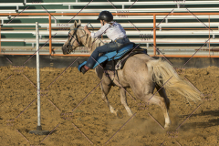 PCSChorseshow62114_IMG_3035