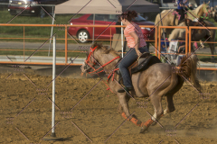 PCSChorseshow62114_IMG_3050