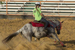 PCSChorseshow62114_IMG_3066