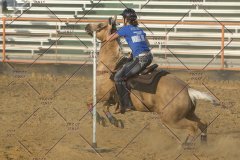 PCSChorseshow62114_IMG_3144