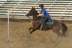 PCSChorseshow62114_IMG_3169