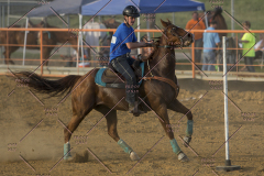 PCSChorseshow62114_IMG_3175