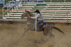 PCSChorseshow62114_IMG_3200