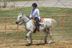 PCSChorseshow62114_IMG_1269