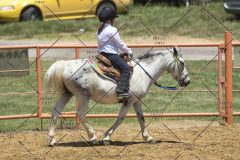 PCSChorseshow62114_IMG_1281