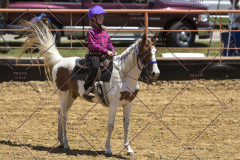 PCSChorseshow62114_IMG_1299