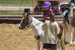 PCSChorseshow62114_IMG_1309