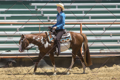 PCSChorseshow62114_IMG_1538