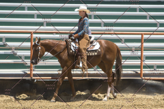 PCSChorseshow62114_IMG_1544