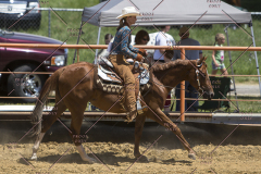 PCSChorseshow62114_IMG_1593