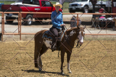 PCSChorseshow62114_IMG_1604