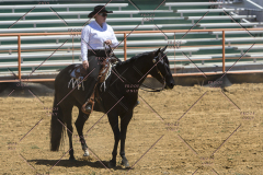PCSChorseshow62114_IMG_1609