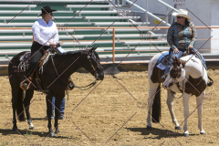 PCSChorseshow62114_IMG_1619