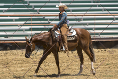 PCSChorseshow62114_IMG_1629