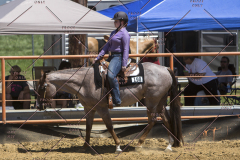 PCSChorseshow62114_IMG_1639