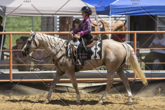 PCSChorseshow62114_IMG_1664