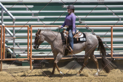 PCSChorseshow62114_IMG_1680