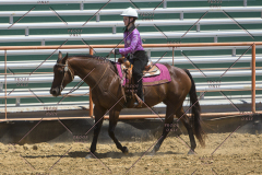 PCSChorseshow62114_IMG_1689