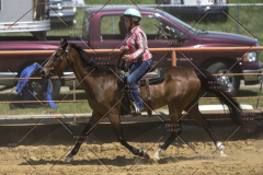 PCSChorseshow62114_IMG_1697