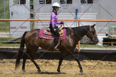 PCSChorseshow62114_IMG_1712
