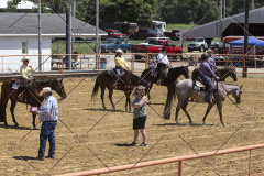 PCSChorseshow62114_IMG_1859