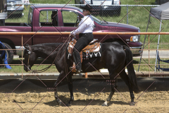 PCSChorseshow62114_IMG_1867