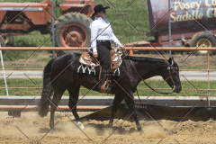 PCSChorseshow62114_IMG_1920