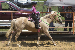 PCSChorseshow62114_IMG_1934