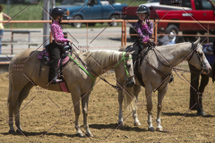 PCSChorseshow62114_IMG_1966