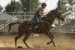 PCSChorseshow62214_IMG_6152