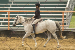 PCSChorseshow62214_IMG_5044