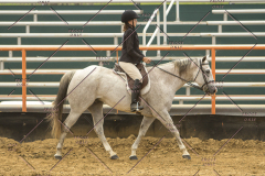 PCSChorseshow62214_IMG_5056