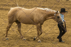 PCSChorseshow62214_IMG_4031