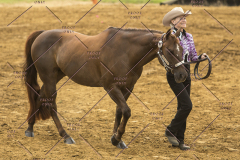 PCSChorseshow62214_IMG_4083