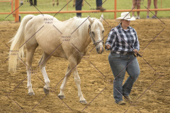 PCSChorseshow62214_IMG_4094