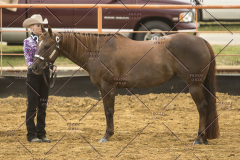 PCSChorseshow62214_IMG_4111