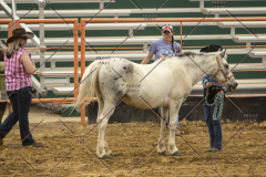 PCSChorseshow62214_IMG_4163