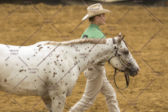 PCSChorseshow62214_IMG_4236