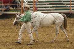 PCSChorseshow62214_IMG_4249