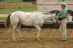 PCSChorseshow62214_IMG_4262