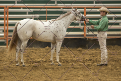 PCSChorseshow62214_IMG_4270