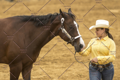 PCSChorseshow62214_IMG_4332