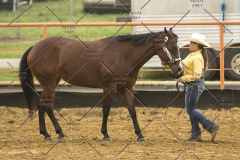PCSChorseshow62214_IMG_4350